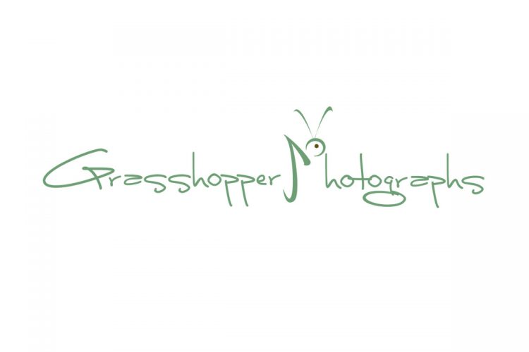 Grasshopper Photographs Logo